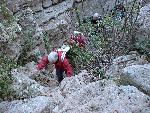 Photo DSC01146.JPG